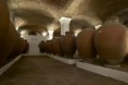 /album/vinhas-e-vinhos/unnamed-2-jpg/